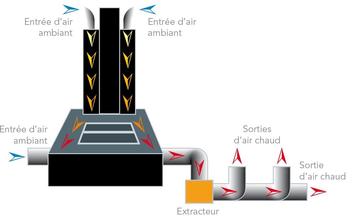 distribution